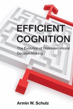 Efficient Cognition - Schulz, Armin W.