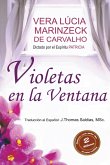 Violetas en la Ventana