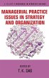 Managerial Practice Issues in Strategy... - Bild 1