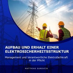 Aufbau und Erhalt einer Elektrosicherheitsstruktur (MP3-Download) - Surovcik, Matthias