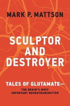 Cover Sculptor and Destroyer (eBook, ePUB)