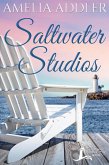 Saltwater Studios (Westcott Bay, #2) (eBook, ePUB)