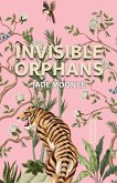 Invisible Orphans (eBook, ePUB)