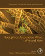 Endophytic Association: What, Why and... - Bild 1