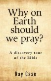 Why on Earth Should We Pray? (eBook, ePUB)