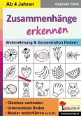 Zusammenhänge erkennen (eBook, PDF)
