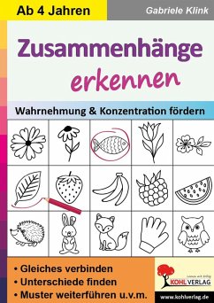 Zusammenhänge erkennen (eBook, PDF) - Klink, Gabriele