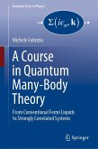 A Course in Quantum Many-Body Theory (eBook, PDF)