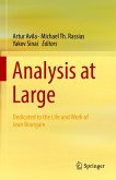 Analysis at Large (eBook, PDF)