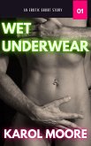 Wet Underwear (SEXUAL CHRONICLES OF A MARRIED WOMAN, #1) (eBook, ePUB)