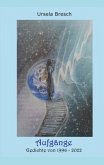 Aufgänge (eBook, ePUB)