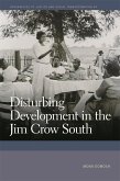 Disturbing Development in the Jim Crow South (eBook, ePUB)