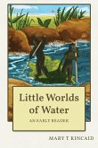 Little Worlds of Water