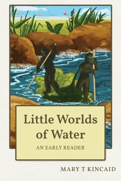 Little Worlds of Water - Kincaid, Mary