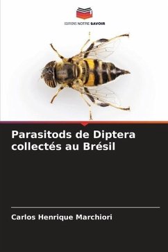 Parasitods de Diptera collectés au Brésil - Marchiori, Carlos Henrique