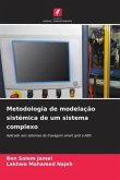 Metodologia de modelação sistémica de um sistema complexo