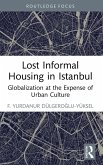 Lost Informal Housing in Istanbul (eBook, ePUB)