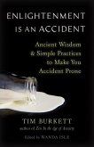 Enlightenment Is an Accident (eBook, ePUB)