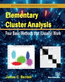 Elementary Cluster Analysis (eBook, PDF)