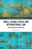 Small Island States & International Law (eBook, ePUB)