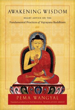 Cover Awakening Wisdom (eBook, ePUB)