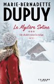 Le Mystère Soline, T3 - Un Chalet sous la neige - partie 1 (eBook, ePUB)