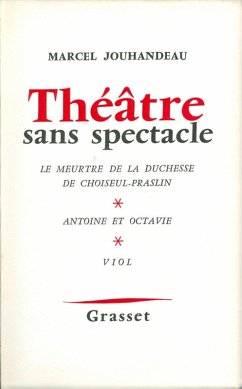 Cover Théâtre sans spectacle (eBook, ePUB)