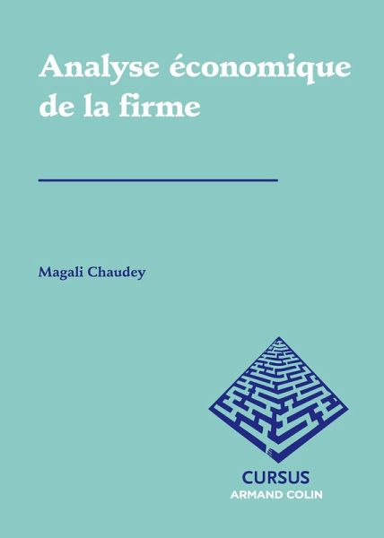 Analyse économique de la firme (eBook, ePUB)