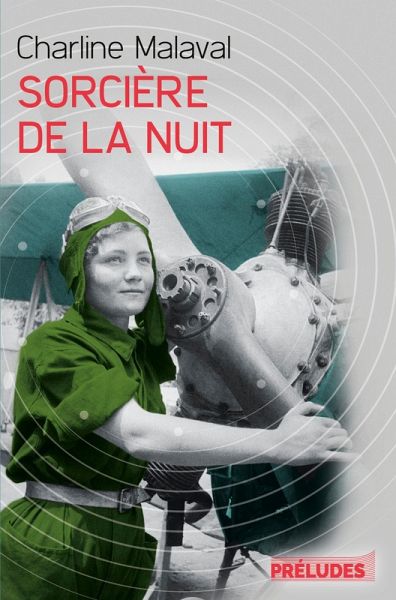 Sorcière de la nuit (eBook, ePUB) Sorcière de la nuit (eBook, ePUB)