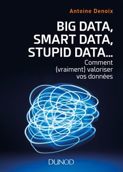 Big Data, Smart Data, Stupid Data... (eBook, ePUB) - Denoix, Antoine