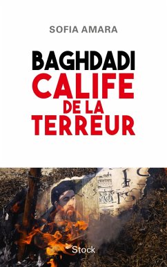 Cover Baghdadi, calife de la terreur (eBook, ePUB)
