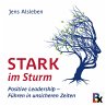 Stark im Sturm (MP3-Download) - Bild 1