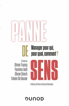 Cover Panne de sens (eBook, ePUB)
