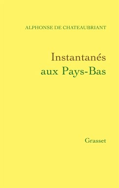 Cover Instantanés aux Pays-Bas (eBook, ePUB)