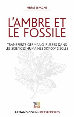 L'ambre et le fossile - Transferts germano-russes dans les sciences humaines XIXe-XXe (eBook, ePUB) - Espagne, Michel