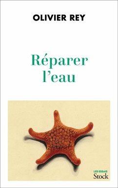 Réparer l'eau (eBook, ePUB) - Rey, Olivier