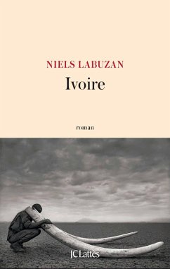 Cover Ivoire (eBook, ePUB)