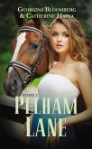 Pelham Lane - Tome 2 (eBook, ePUB)