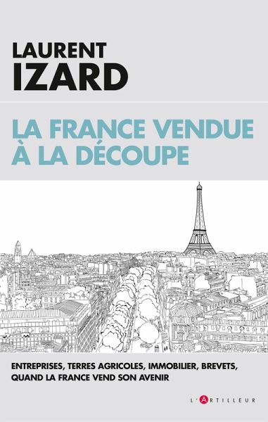La France vendue à la découpe (eBook, ePUB)