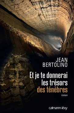 Et je te donnerai les trésors des ténèbres (eBook, ePUB) - Bertolino, Jean