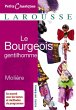 Le Bourgeois gentilhomme (eBook, ePUB) - Bild 1