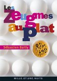 Les Zeugmes au plat (eBook, ePUB)