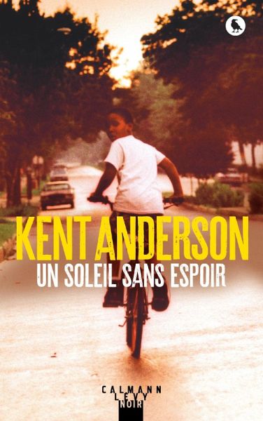 Un soleil sans espoir (eBook, ePUB)