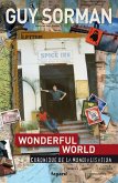 Wonderful world. Chronique de la mondialisation (2006-2009) (eBook, ePUB)
