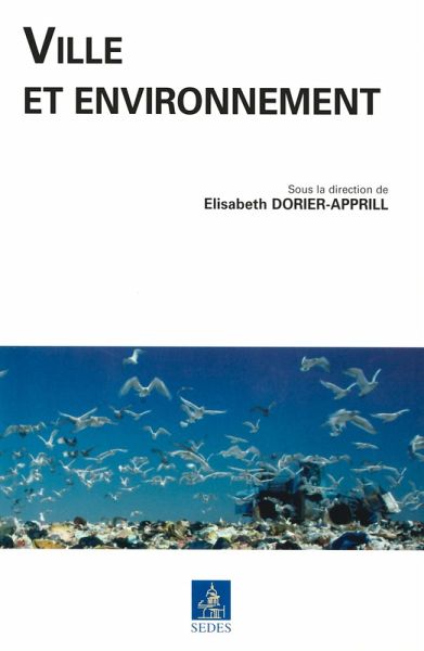 Ville et environnement (eBook, ePUB)