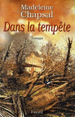 Cover Dans la tempête (eBook, ePUB)