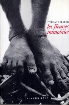 Cover Les Fleuves immobiles (eBook, ePUB)