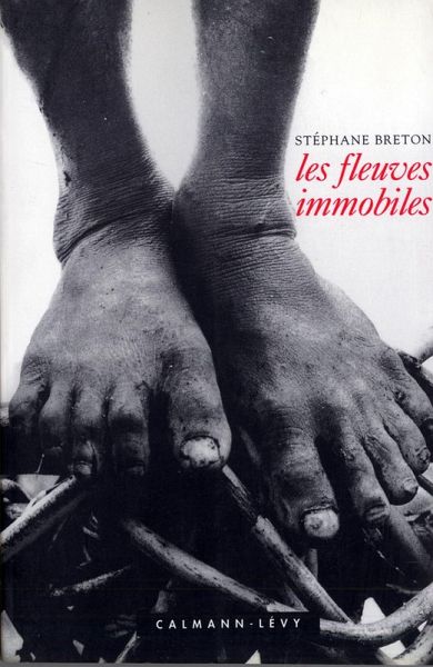 Les Fleuves immobiles (eBook, ePUB) Les Fleuves immobiles (eBook, ePUB)
