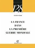 La France dans la Première Guerre mondiale (eBook, ePUB)