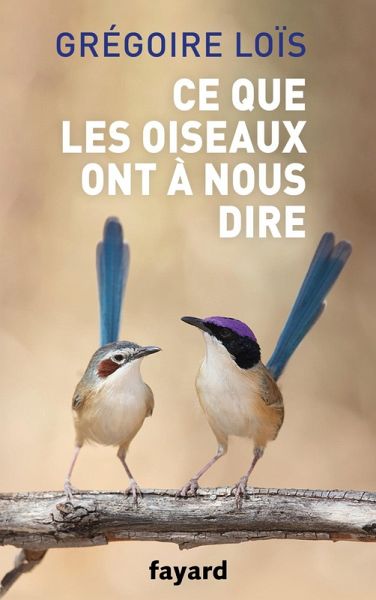 Ce que les oiseaux ont à nous dire (eBook, ePUB)
